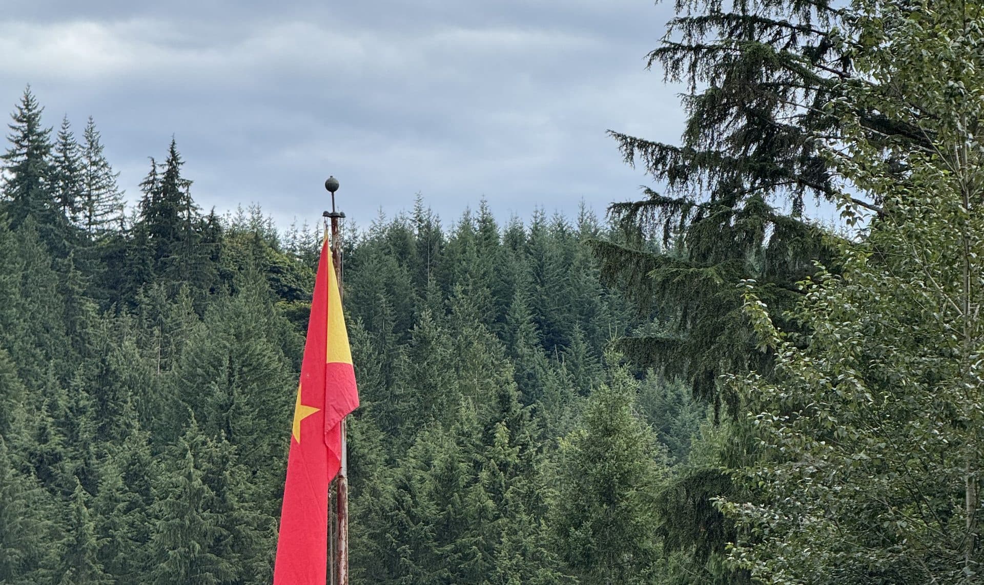 Camp Tigray flag at camp